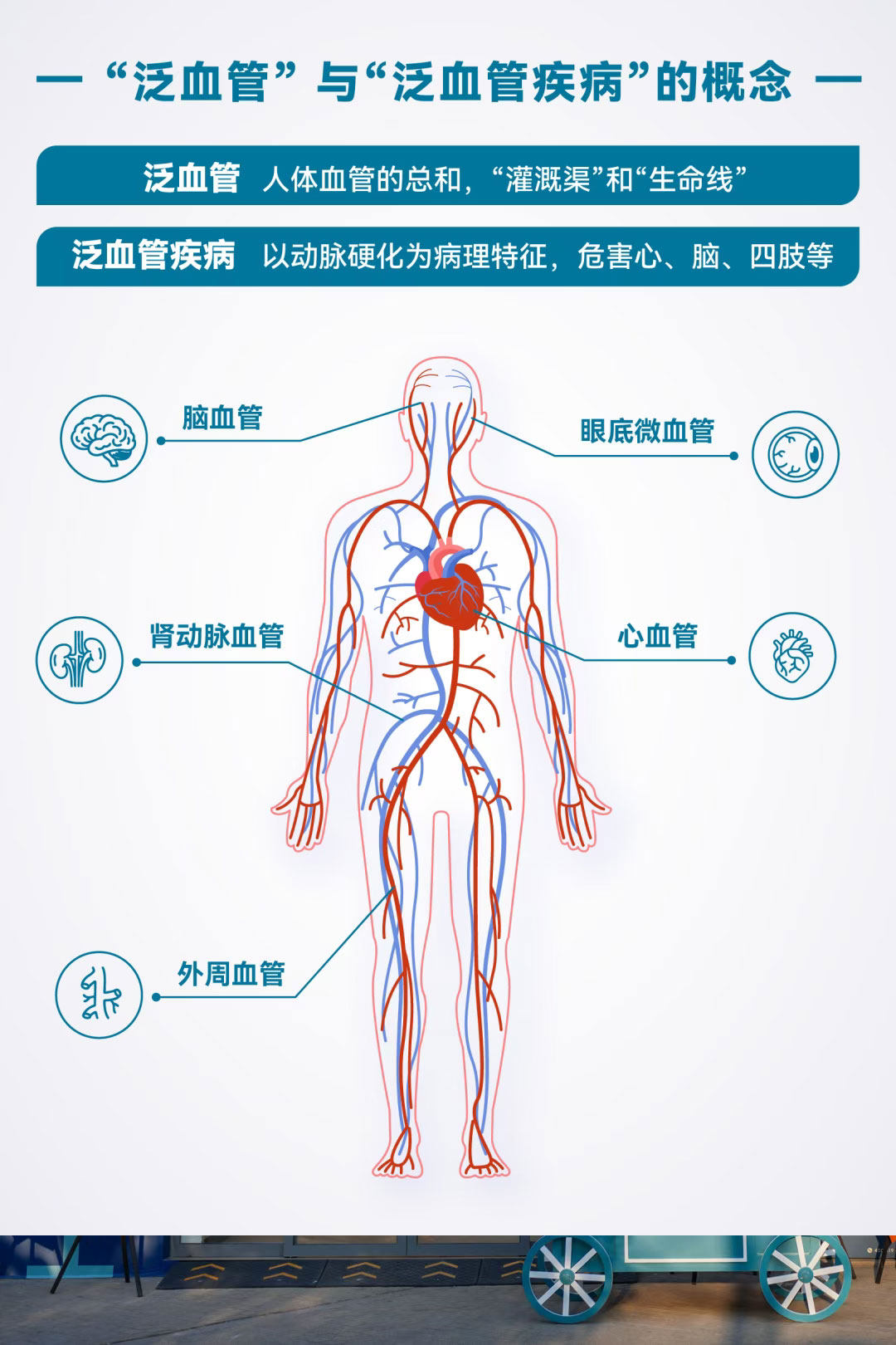 泛血管与泛血管疾病的概念.jpg
