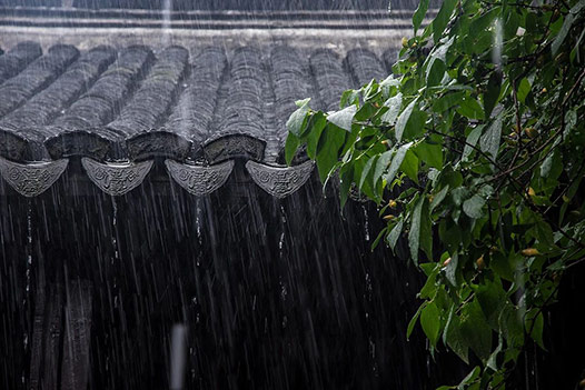 上海高端医院 | 梅雨连绵，谨防霉菌性阴道炎