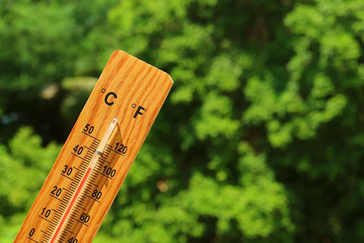 上海高端私立医院：40℃高温爆表！如何防暑降温？