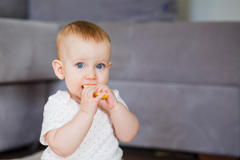 stock-image-237623190-M.jpg